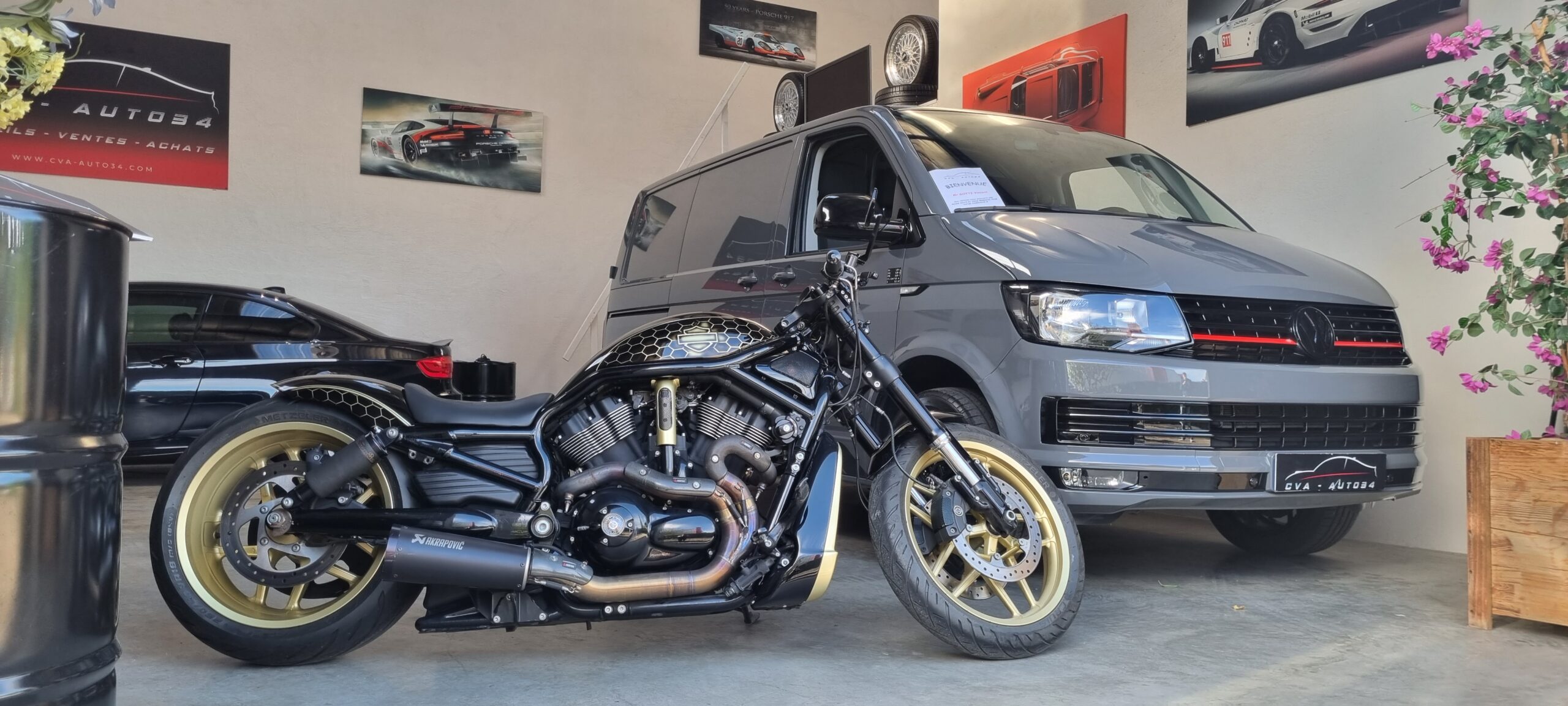 HARLEY DAVIDSON NIGHT ROD (Préparation Unique)