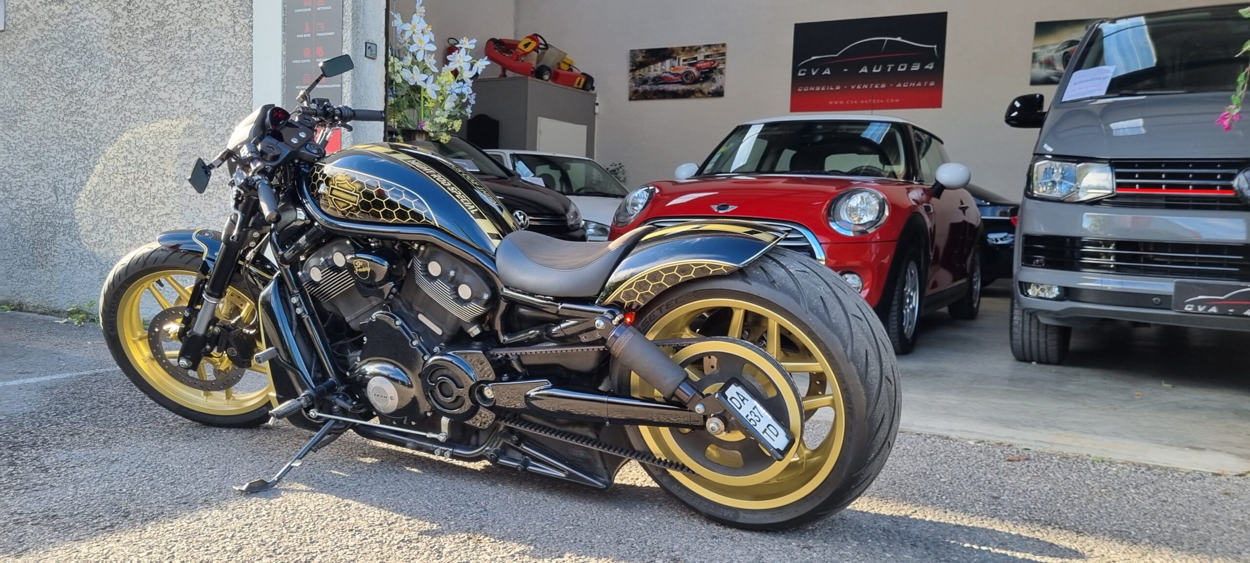 HARLEY DAVIDSON NIGHT ROD (Préparation Unique)