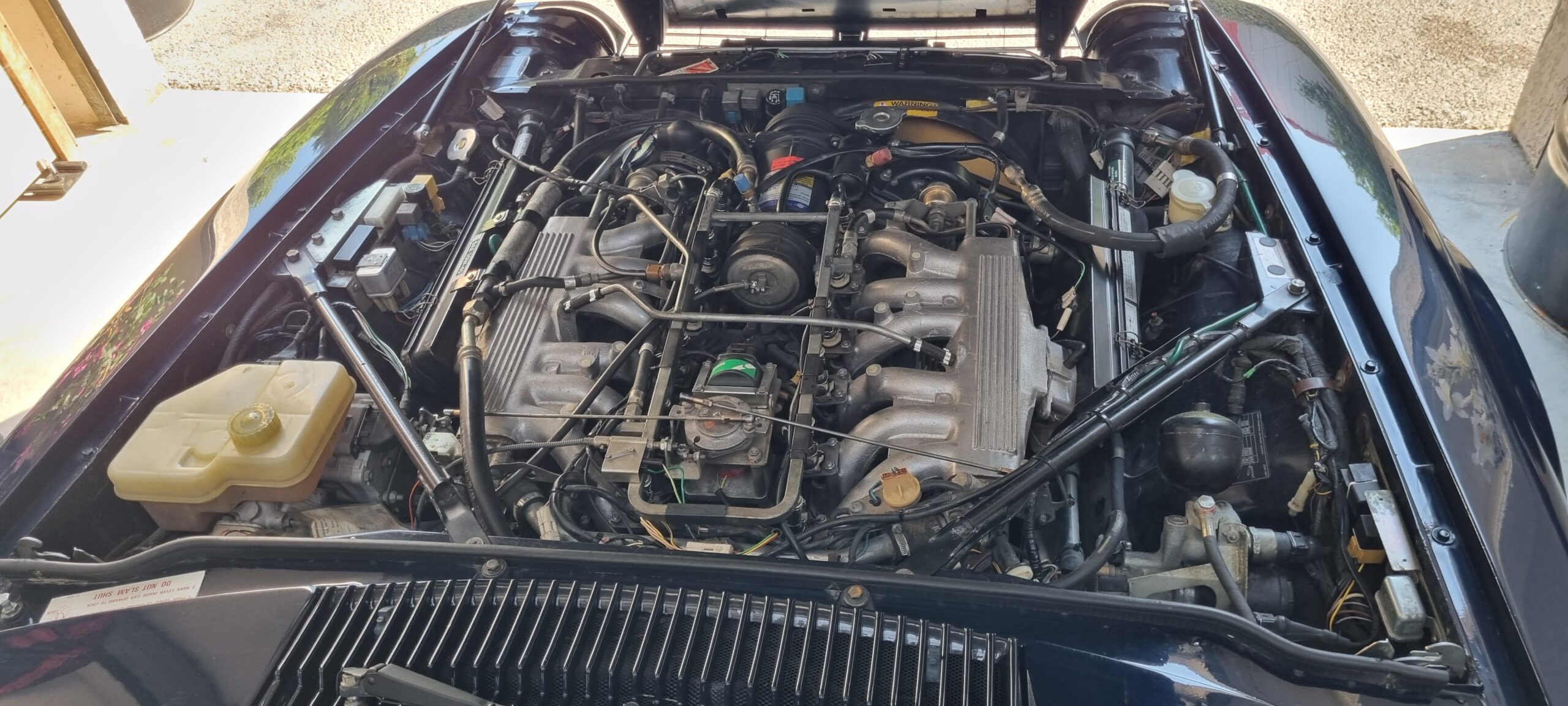 JAGUAR XJS V12 CABRIOLET 5.3L 295CH